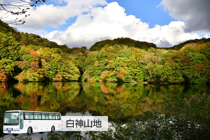 白神山地