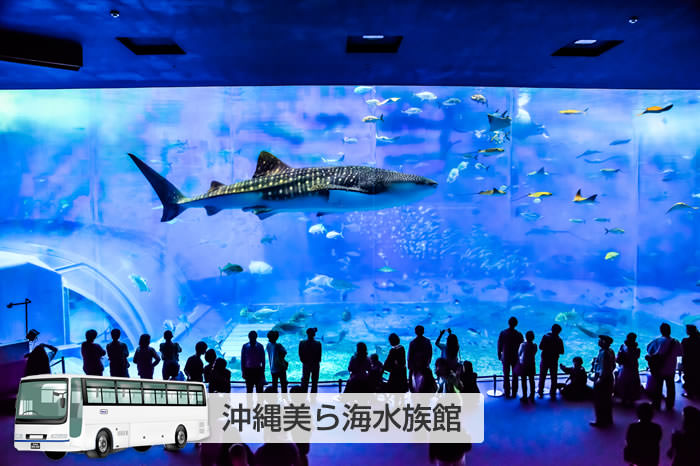 沖縄美ら海水族館