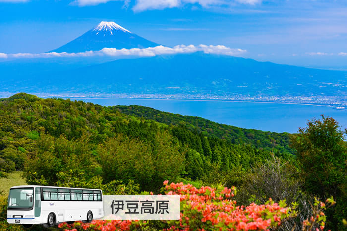 伊豆高原